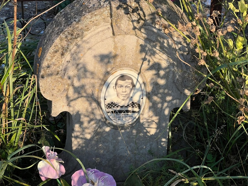 Зелов