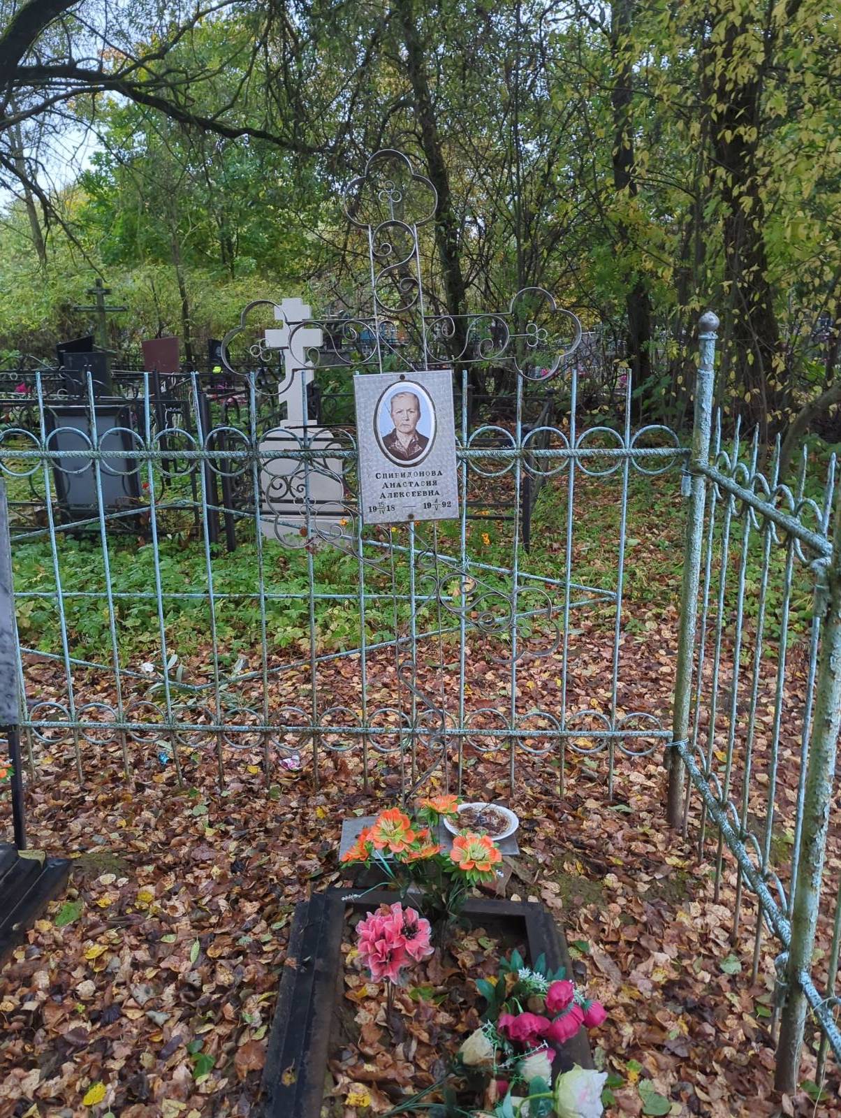 Спиридонова Анастасия Алексеевна