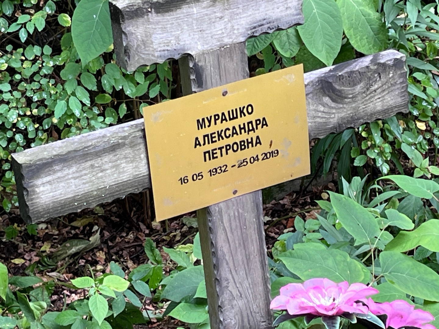 Александра Мурашко Петровна