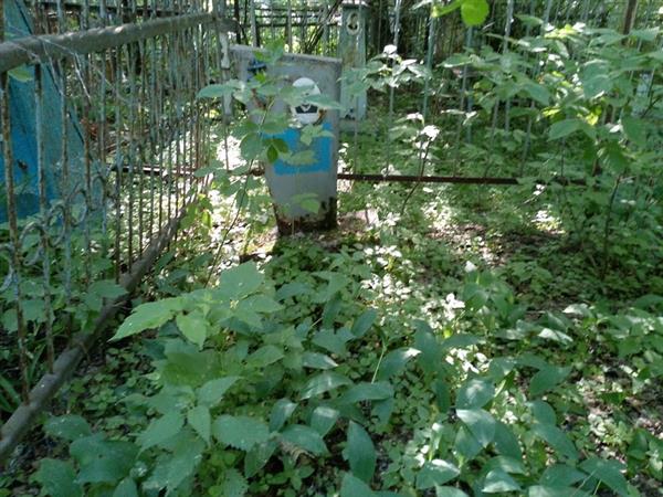 Ероцкая Федора Николаевна