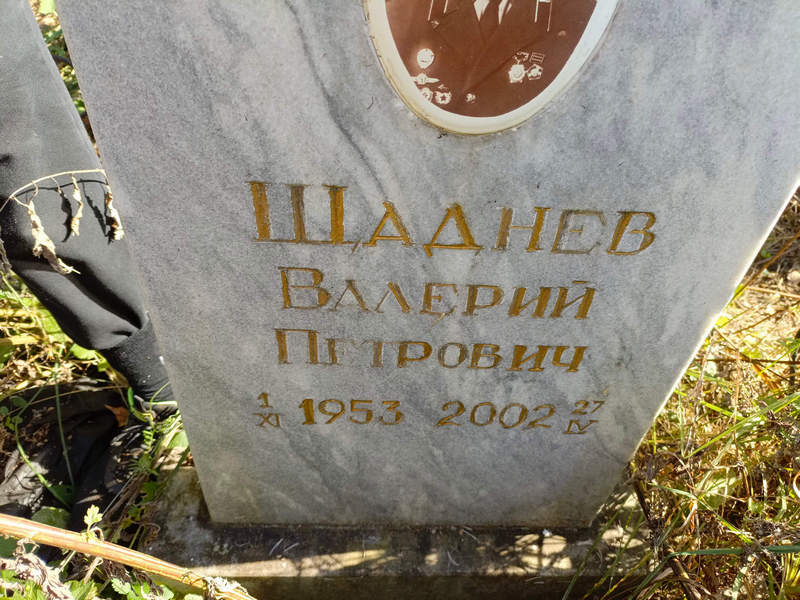 Шаднев