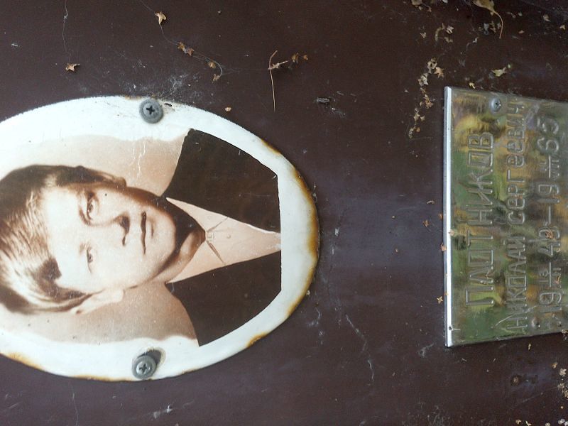 Плотников
