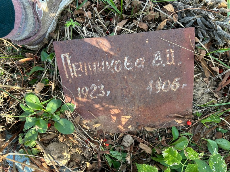 В. Печникова И.