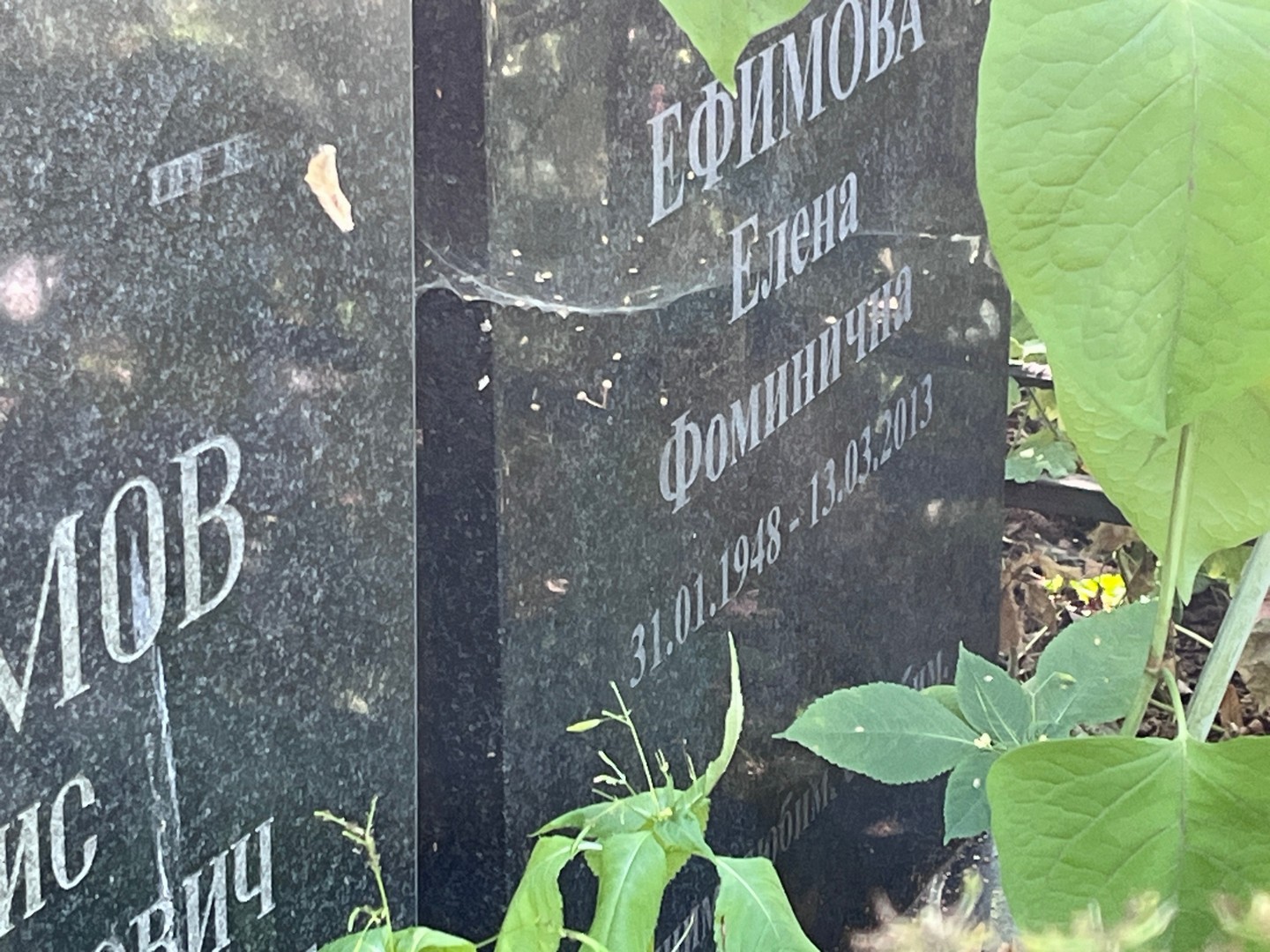 Ефимова