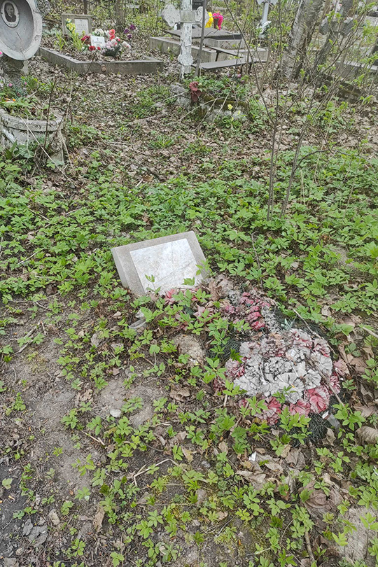 Бойкова В. Н.