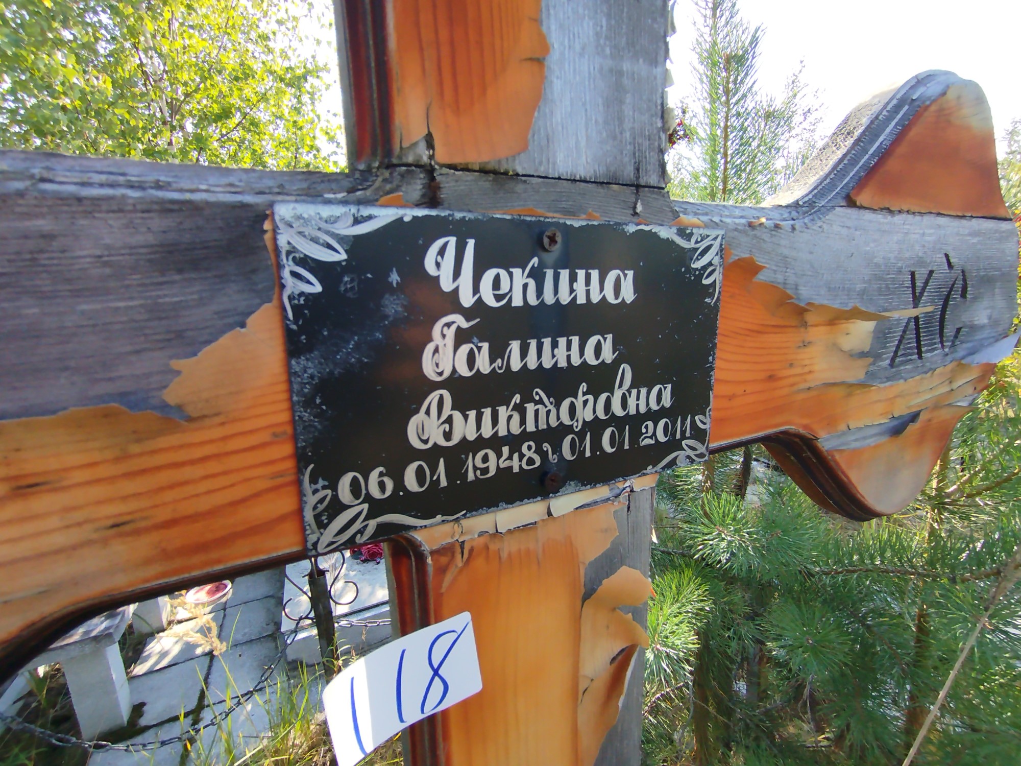 Чекина Галина Викторовна