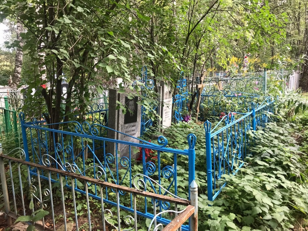 Костромин Анатолий Алексеевич
