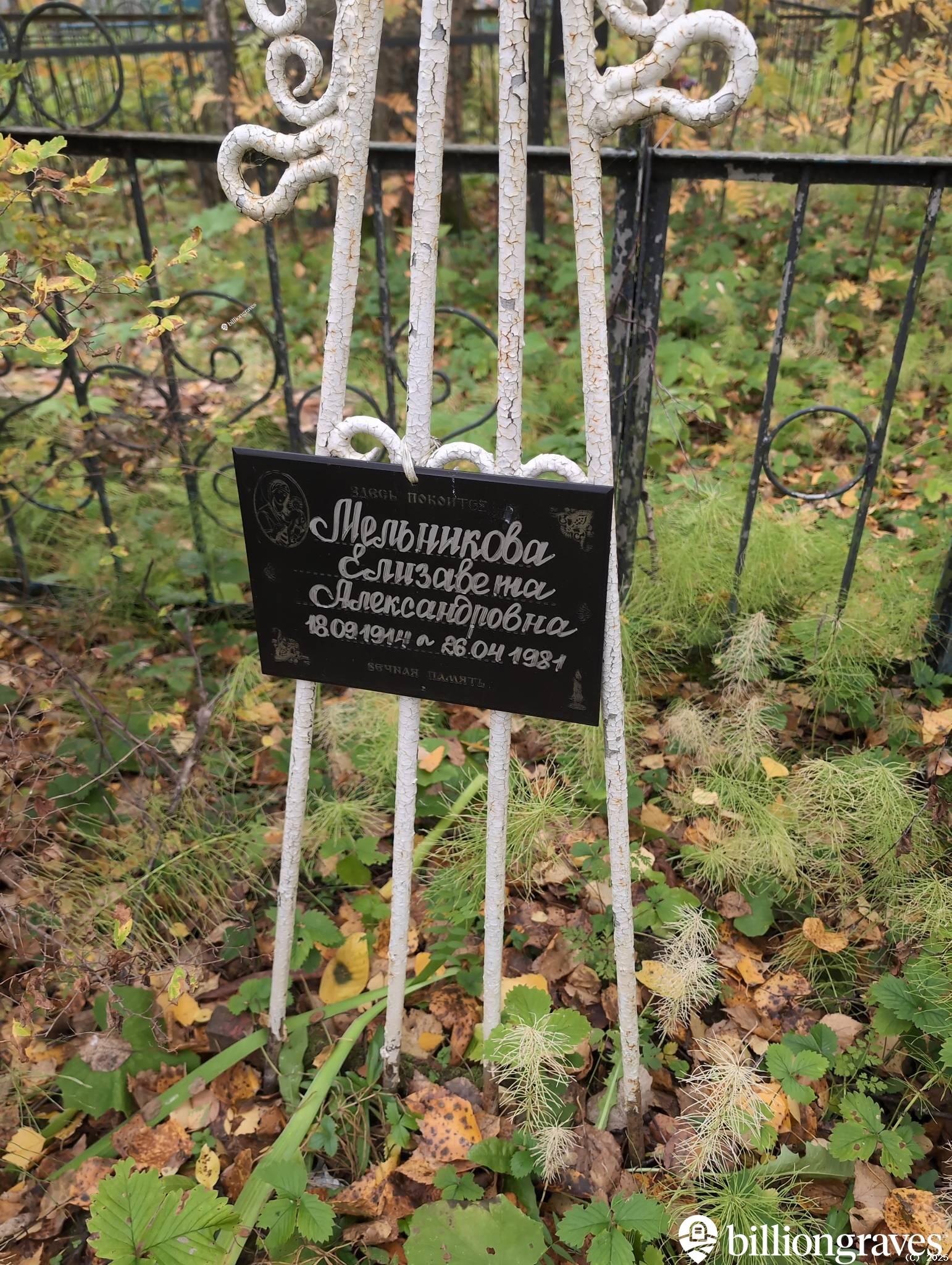 Мельникова Елизавета Александровна