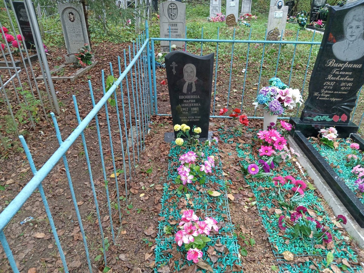 Шошина Мария Алексеевна