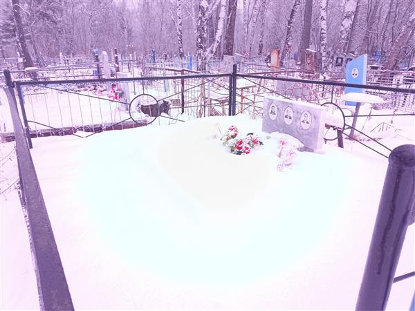 Сильченко Анастасия Александровна