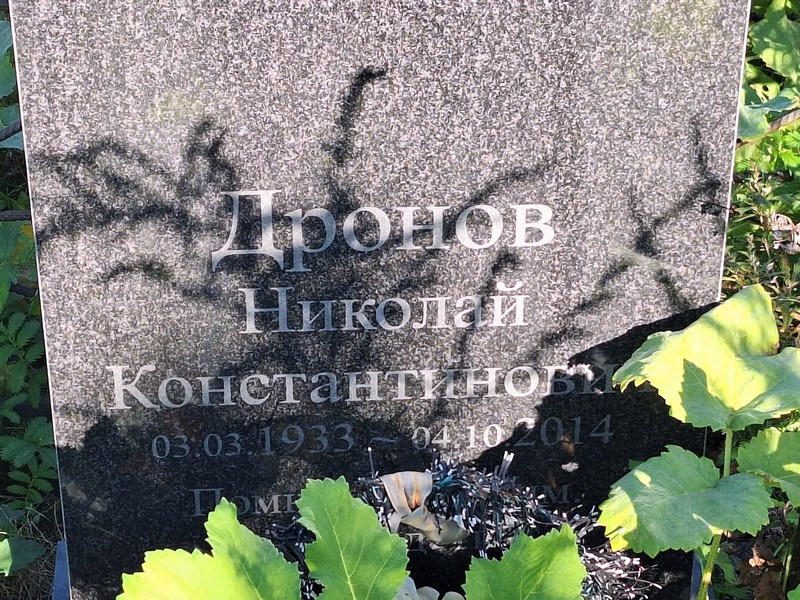 Дронов
