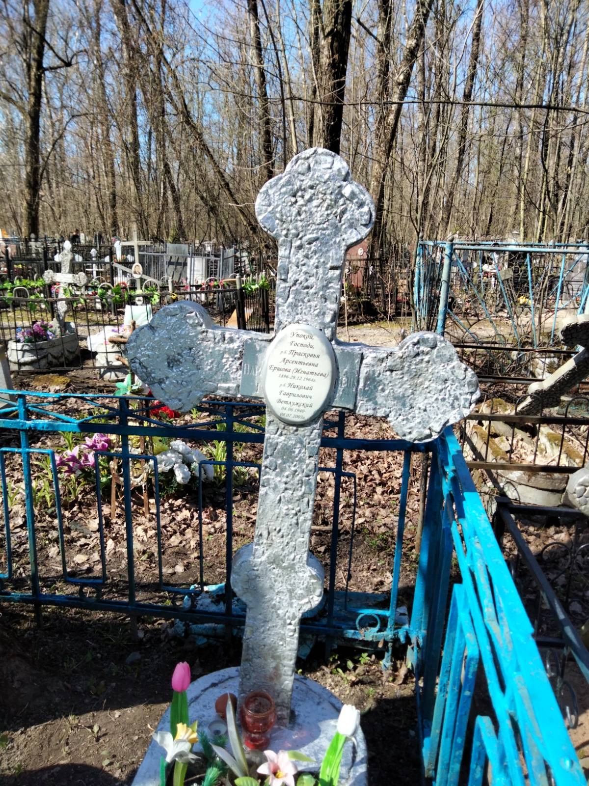 Ветлужский Николай Гаврилович