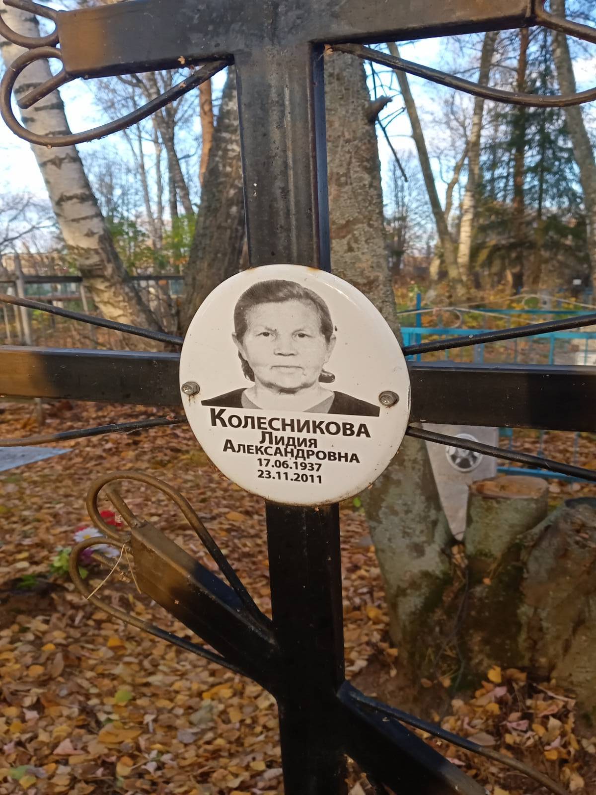Колесникова Лидия Александровна