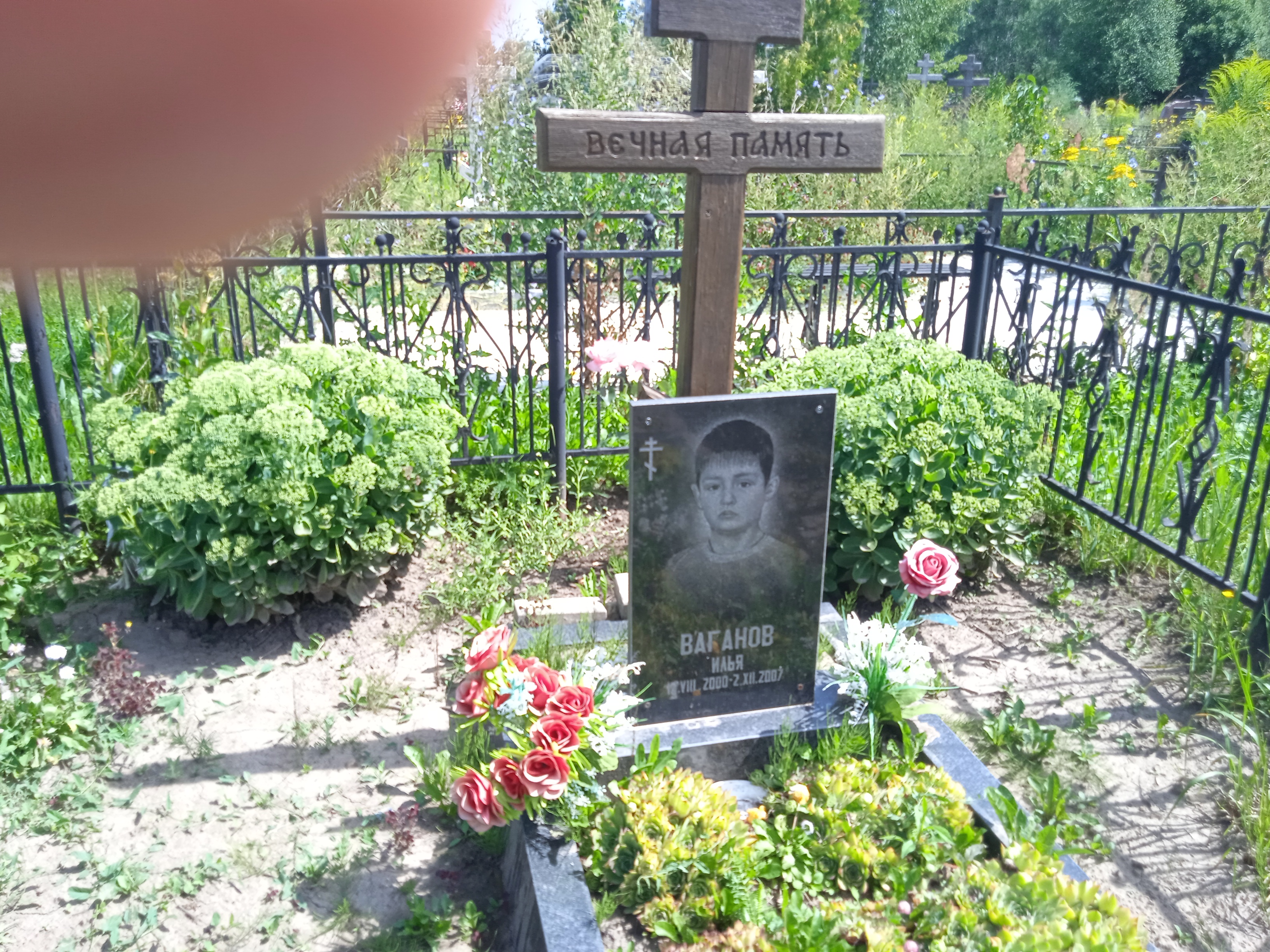 Ваганов Илья