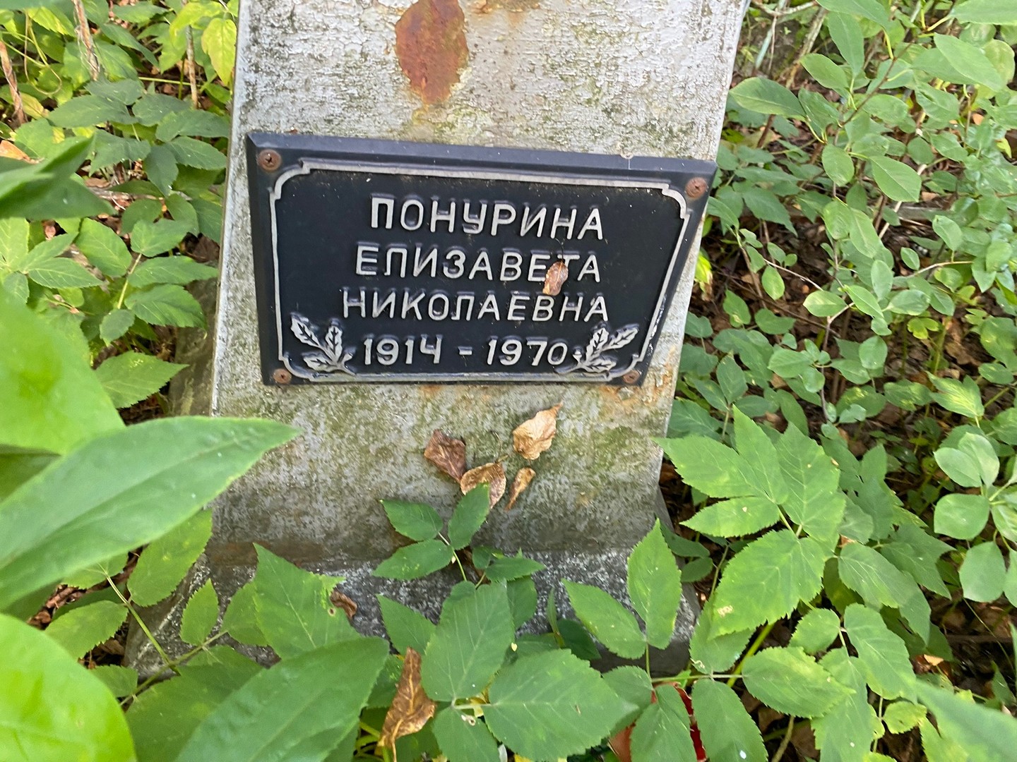 Понурина