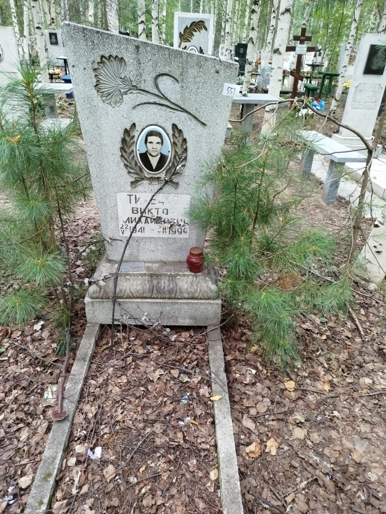 Тихенко Виктор Михайлович