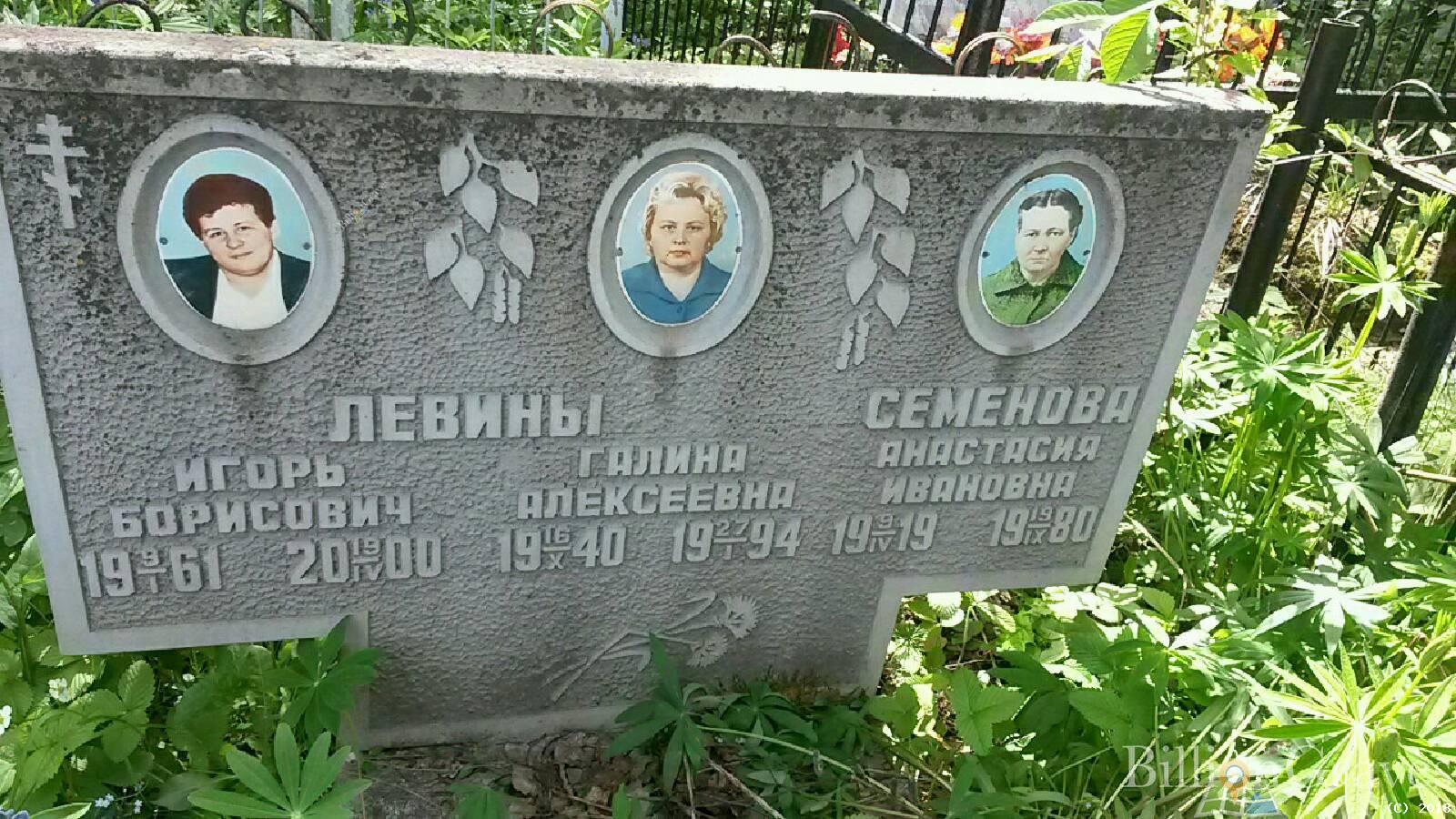 Левин Игорь Борисович