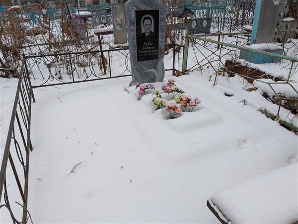 Губа Дмитрий Геннадьевич