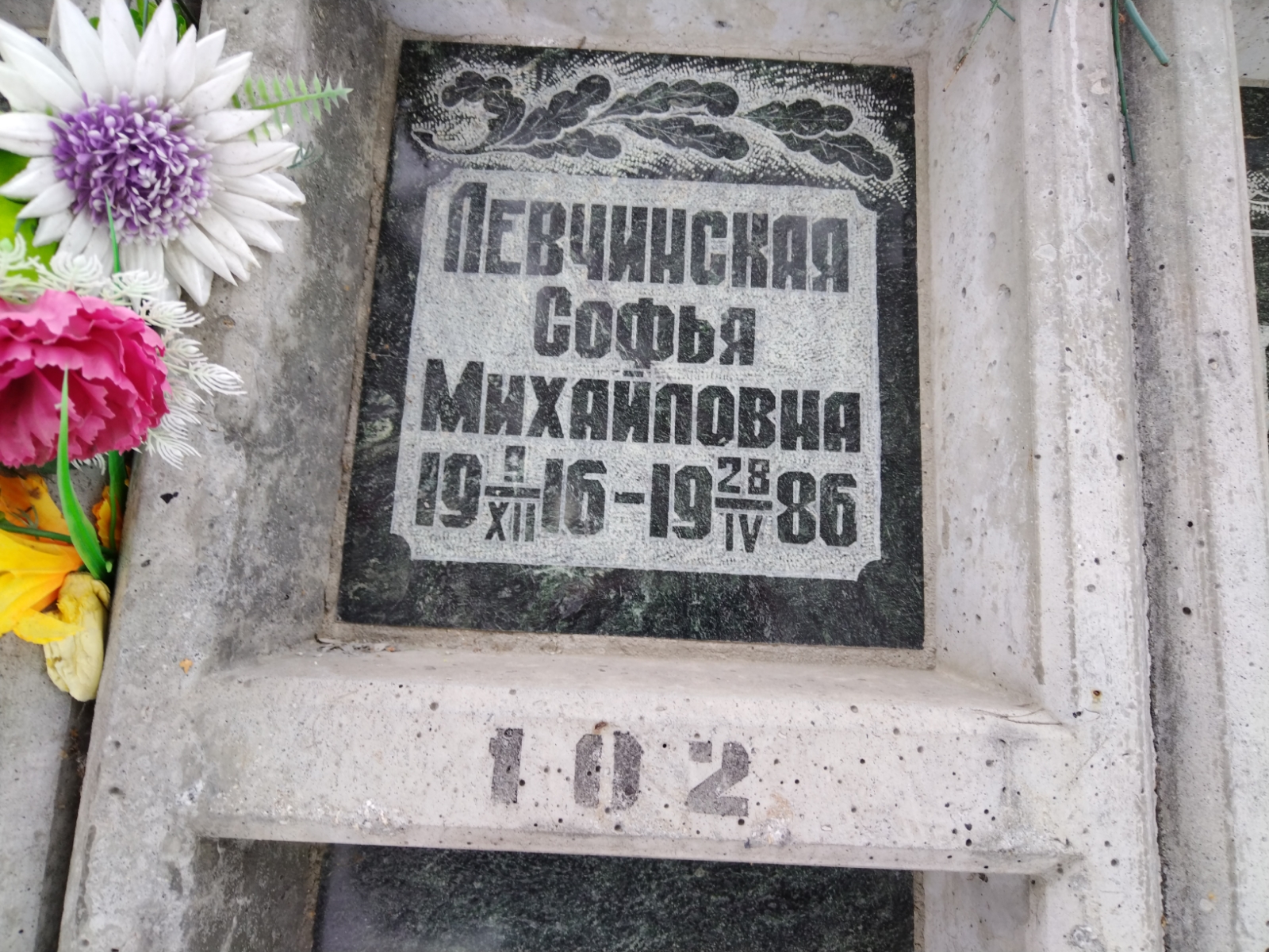 Левчинская Софья Михайловна