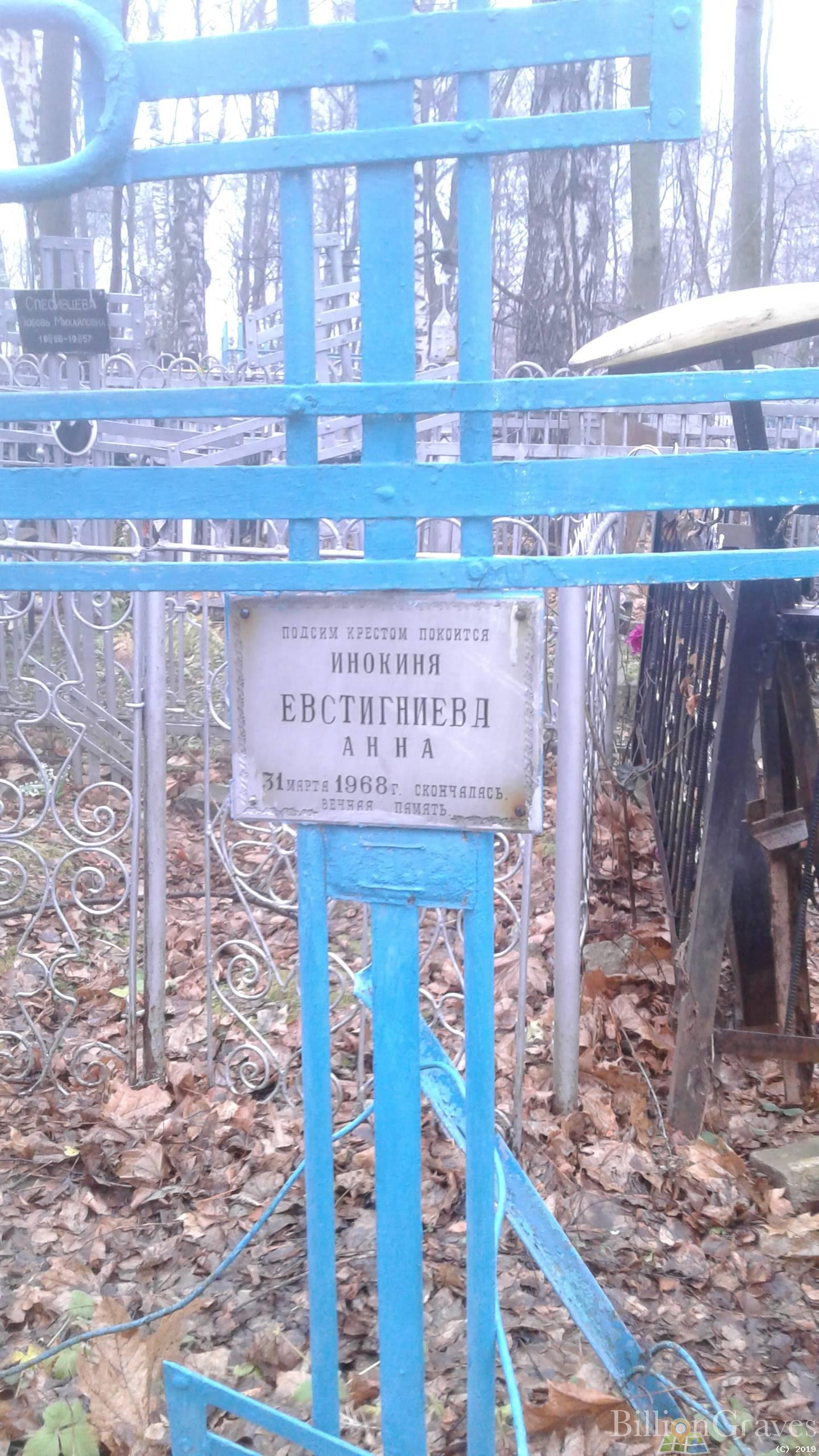 Евстигниева Анна