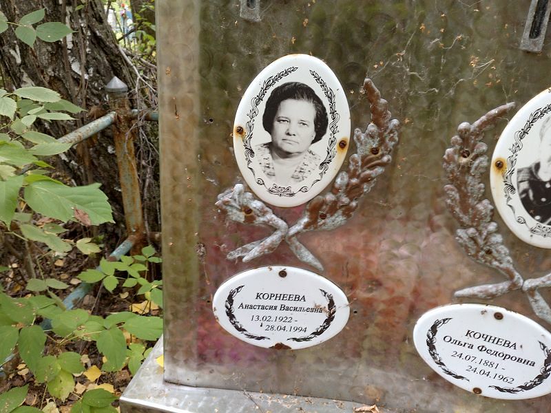 Кочнева