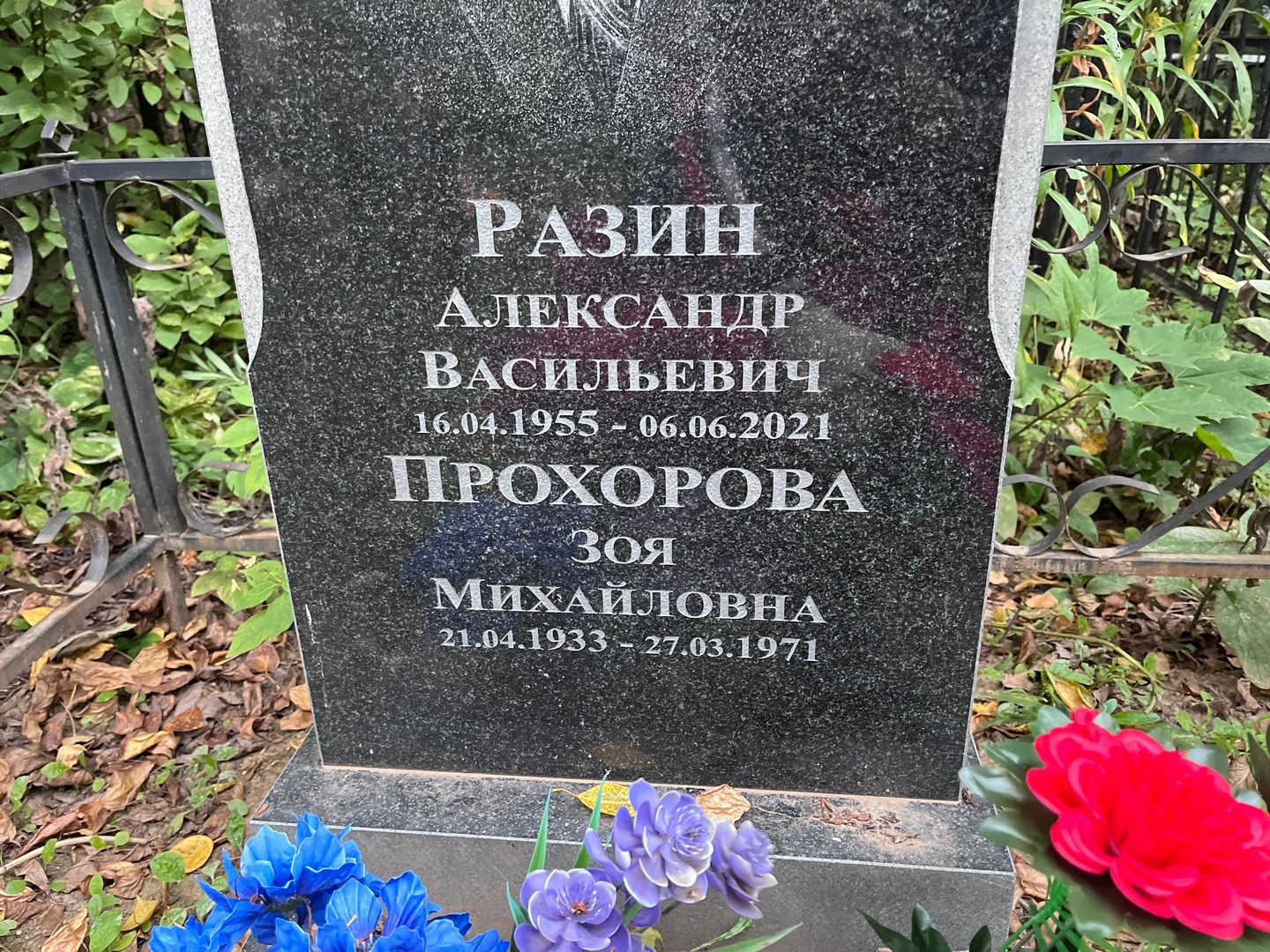 Прохорова