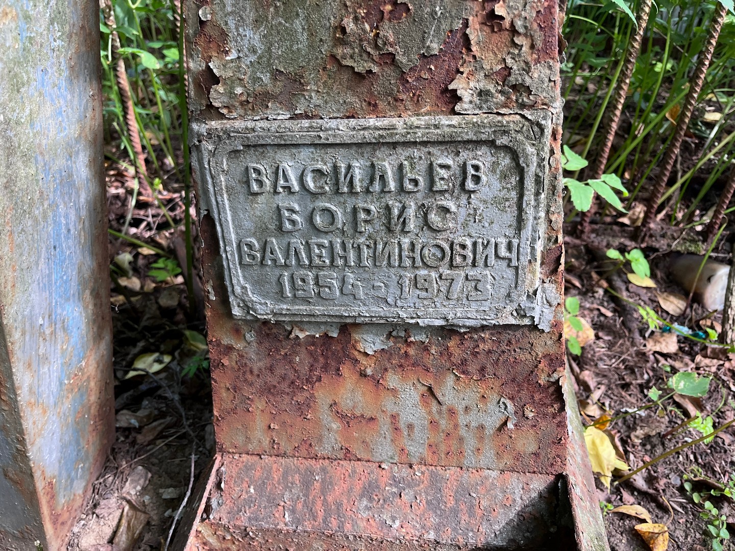 Васильев