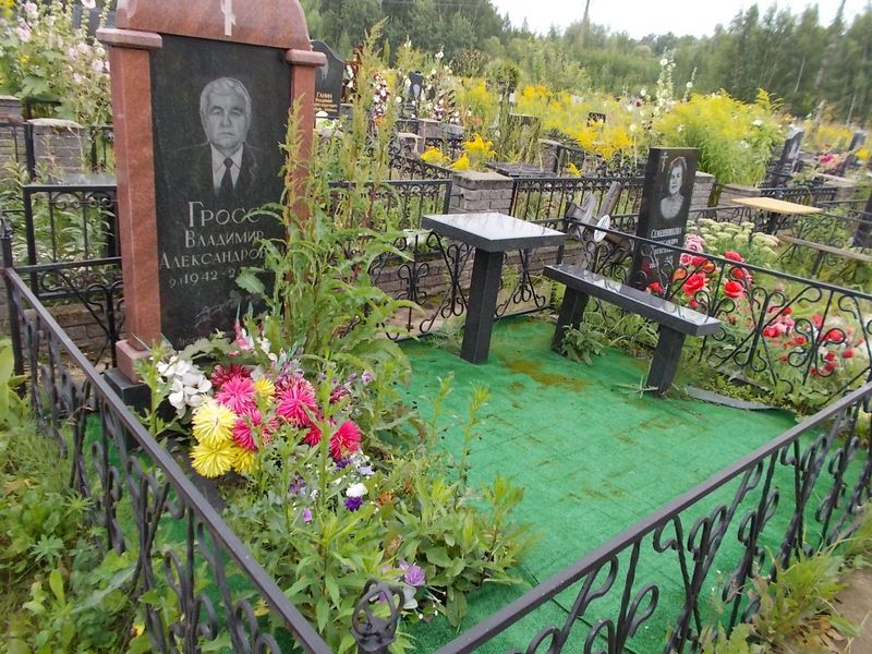 Гросс Владимир Александрович