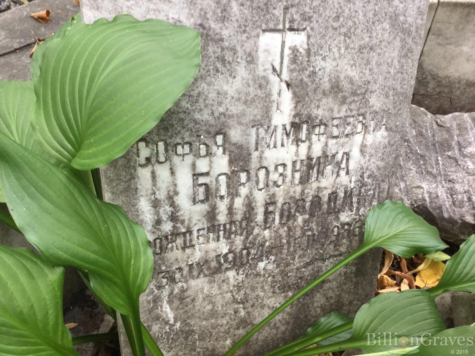 Борознина Софья Тимофеевна