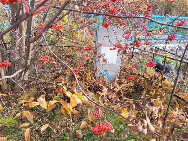 Бабич Иван Григорьевич
