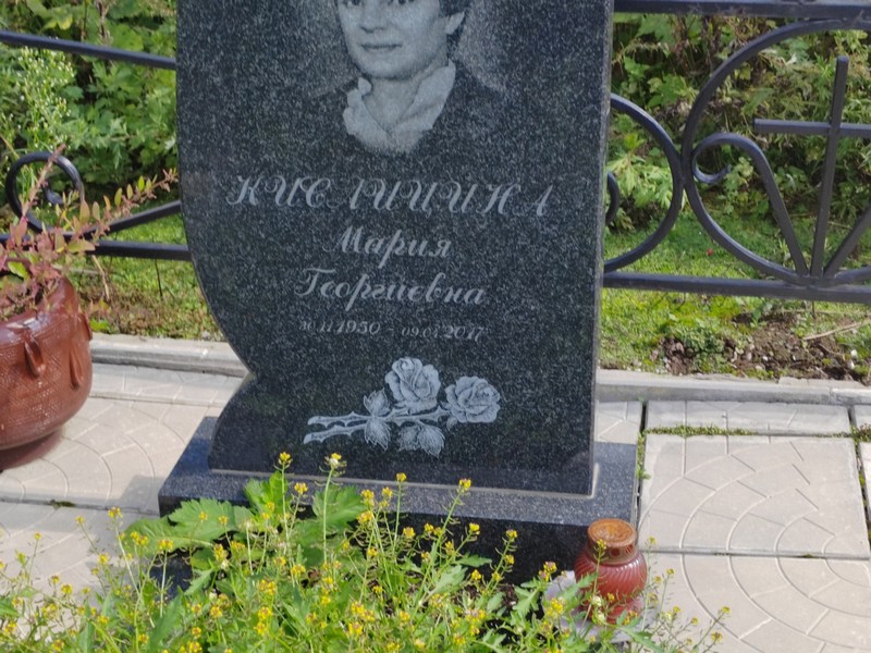 Кислицина