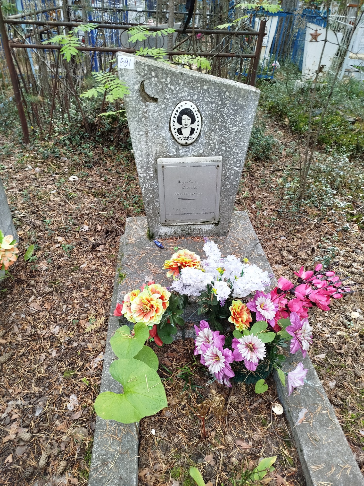 Заревич Ямиля Шакировна