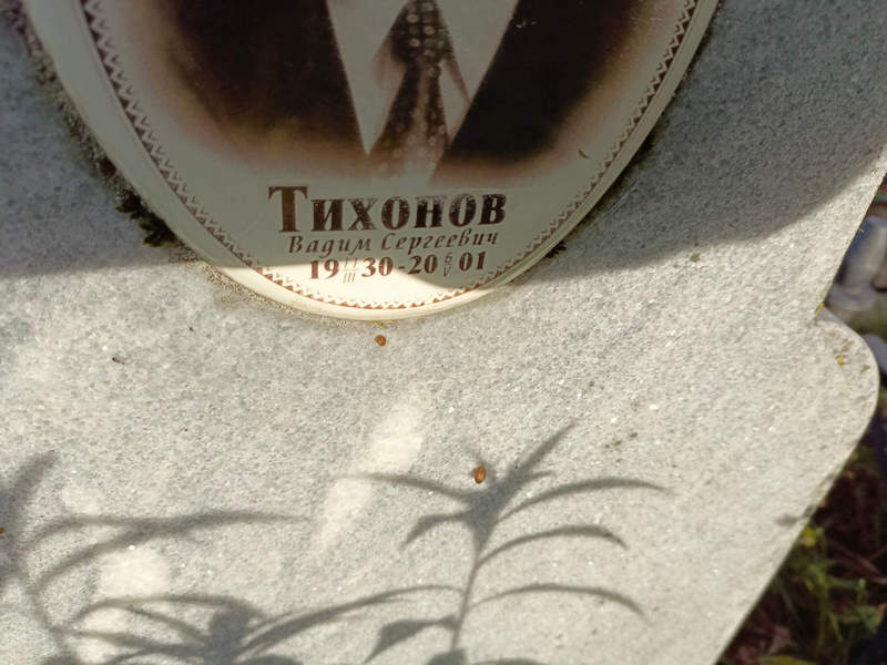 Тихонов