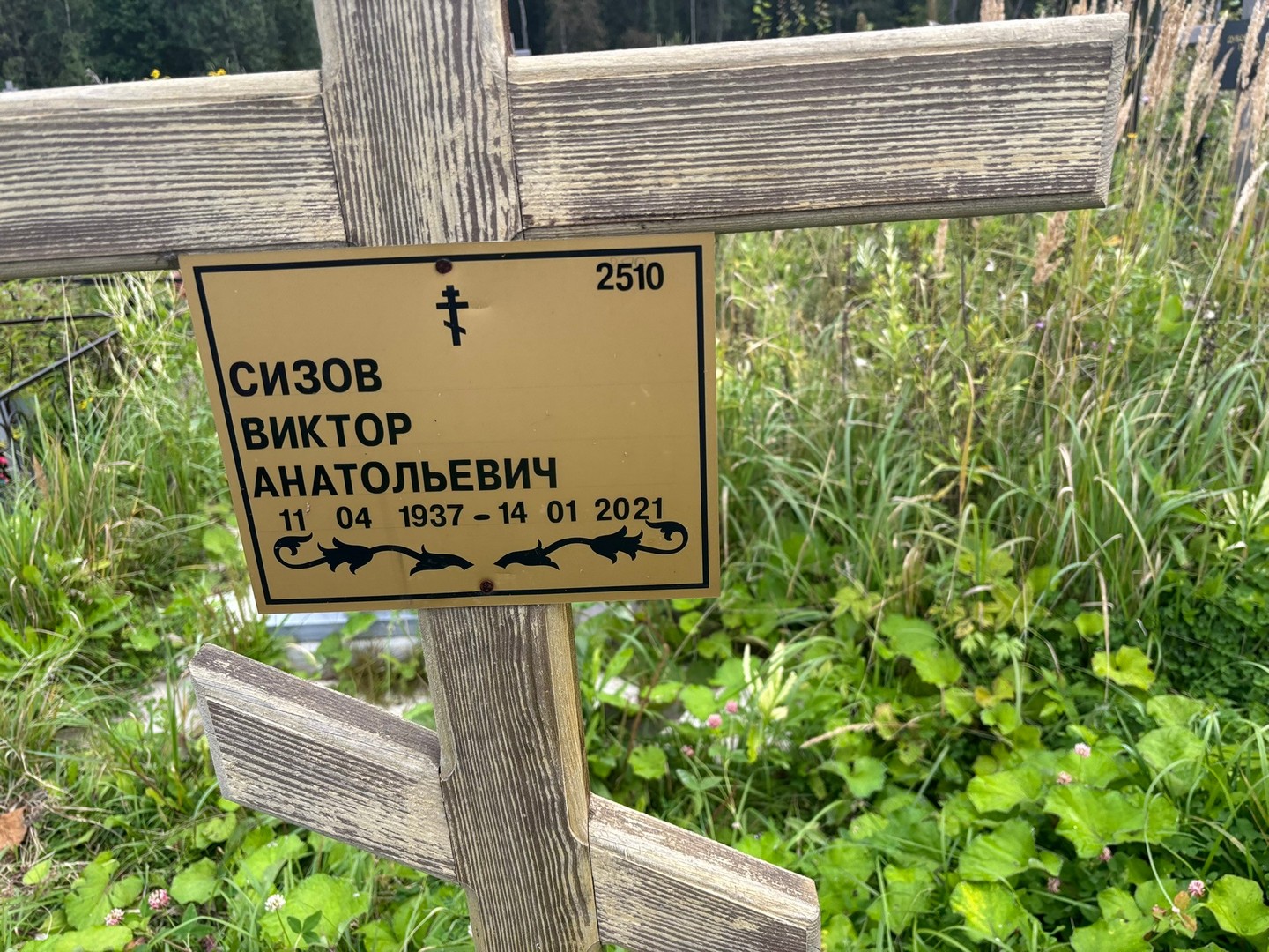 Сизов