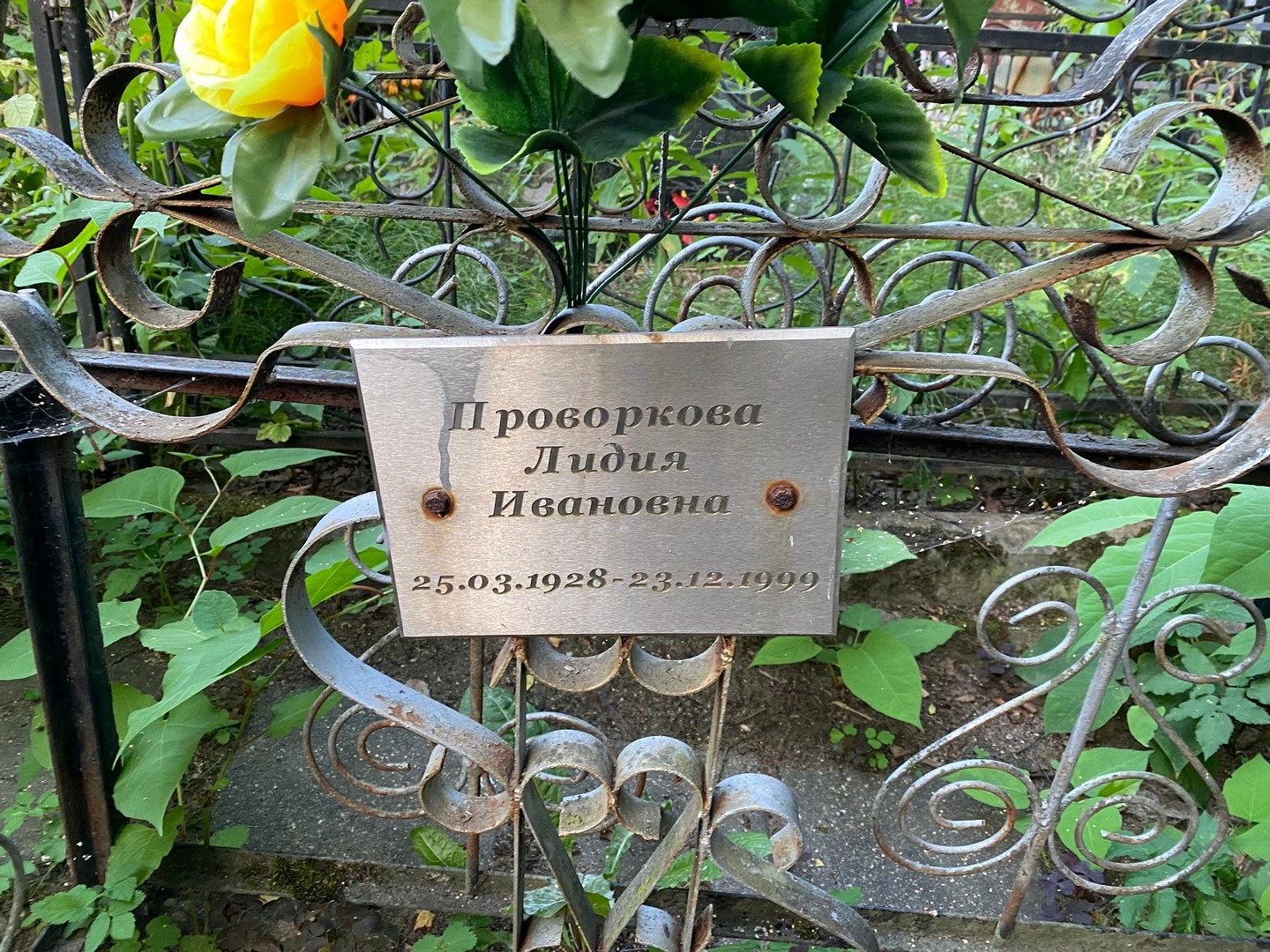 Проворкова