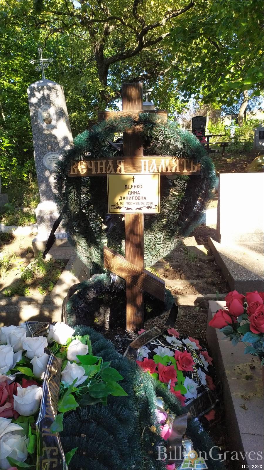 Яценко Дина Даниловна