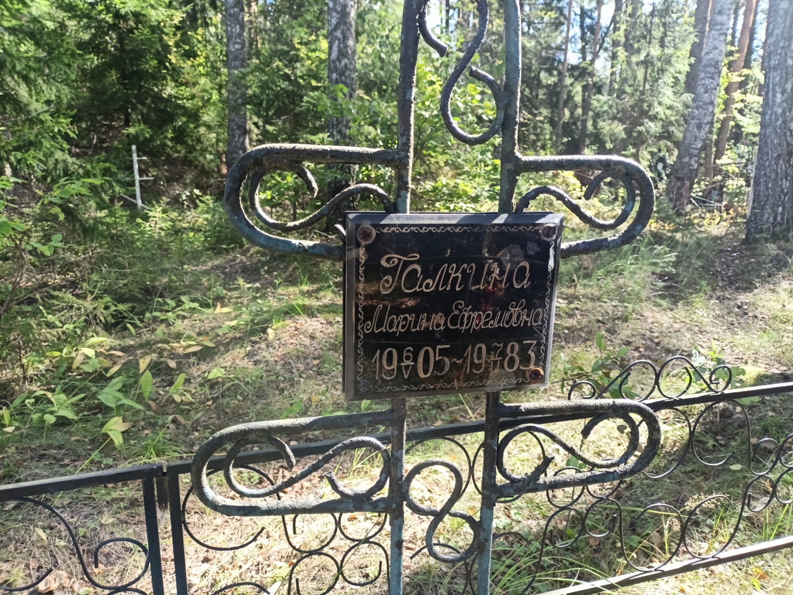 Галкина Марина Ефремовна
