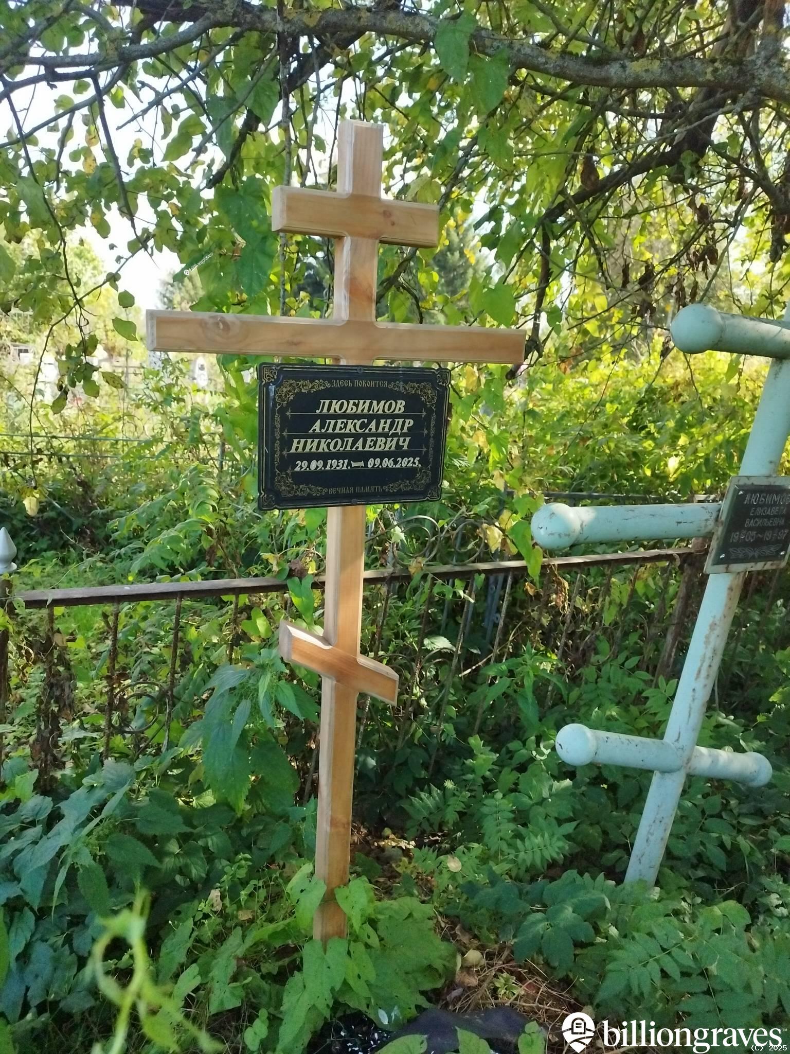 Любимов Александр Николаевич