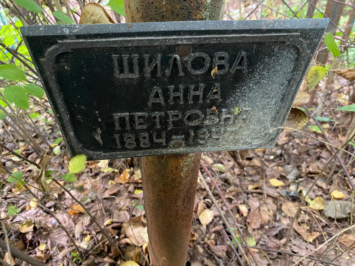 Шилова