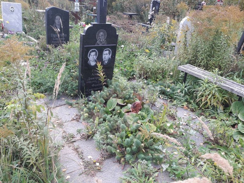 Розов Алексей Дмитриевич