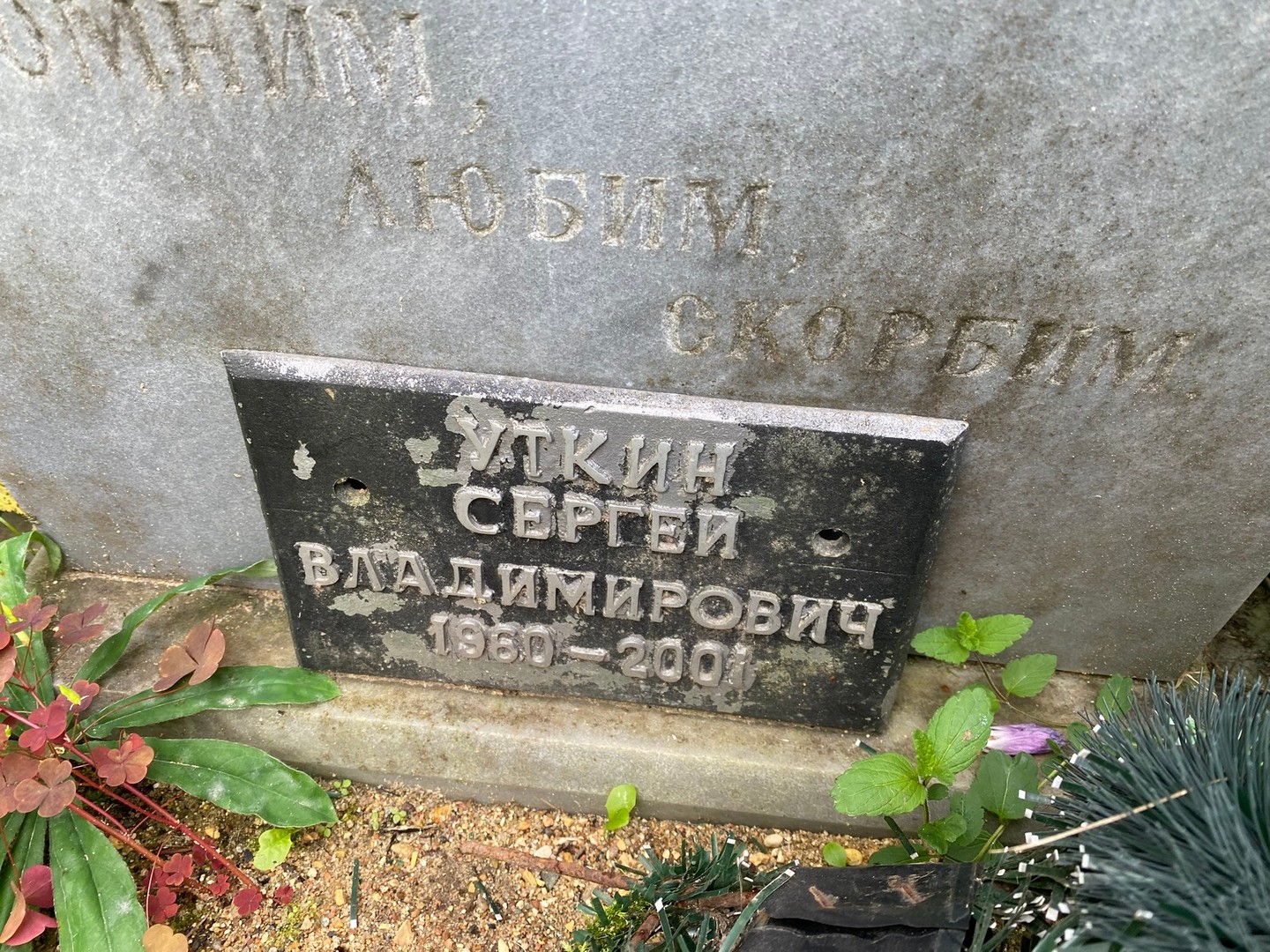 Уткин