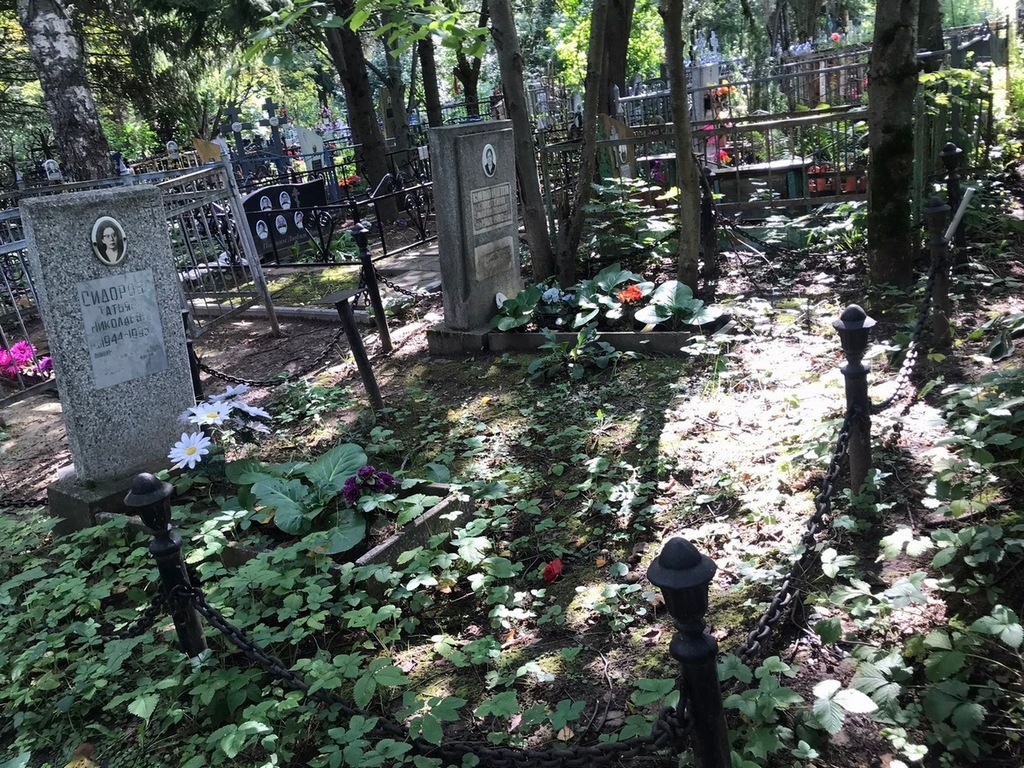 Сидорова Татьяна Николаевна