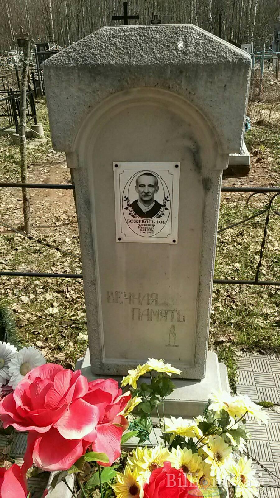 Божевольнов Александр иванович