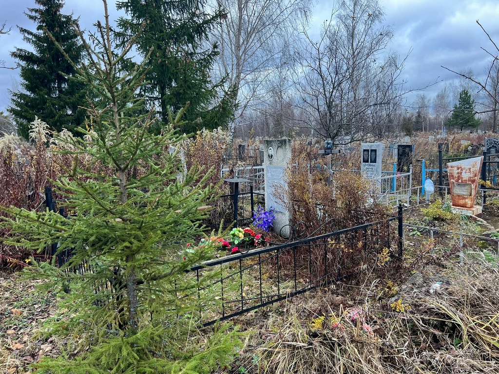 Денисов Анатолий Александрович