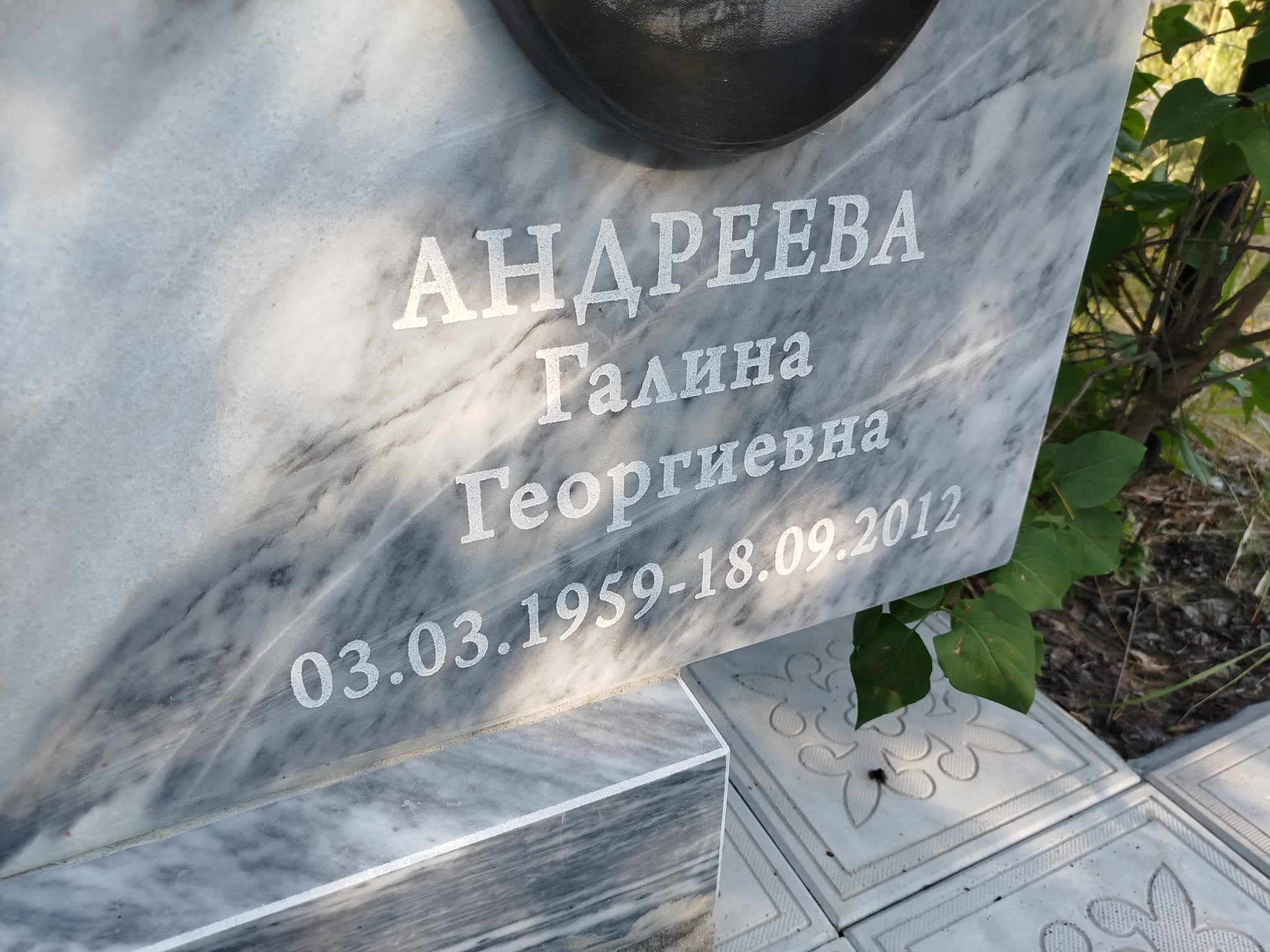 Андреева Галина Георгиевна