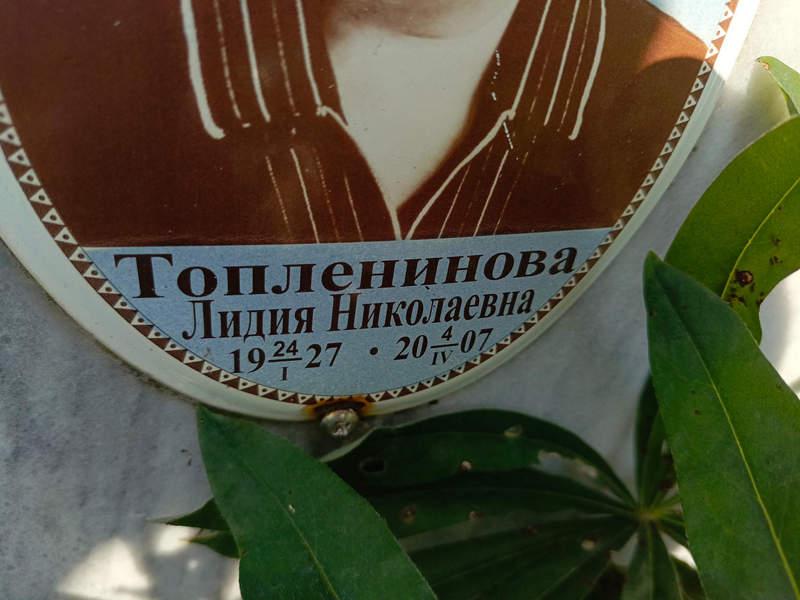Топленинова