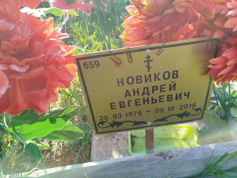 Новиков