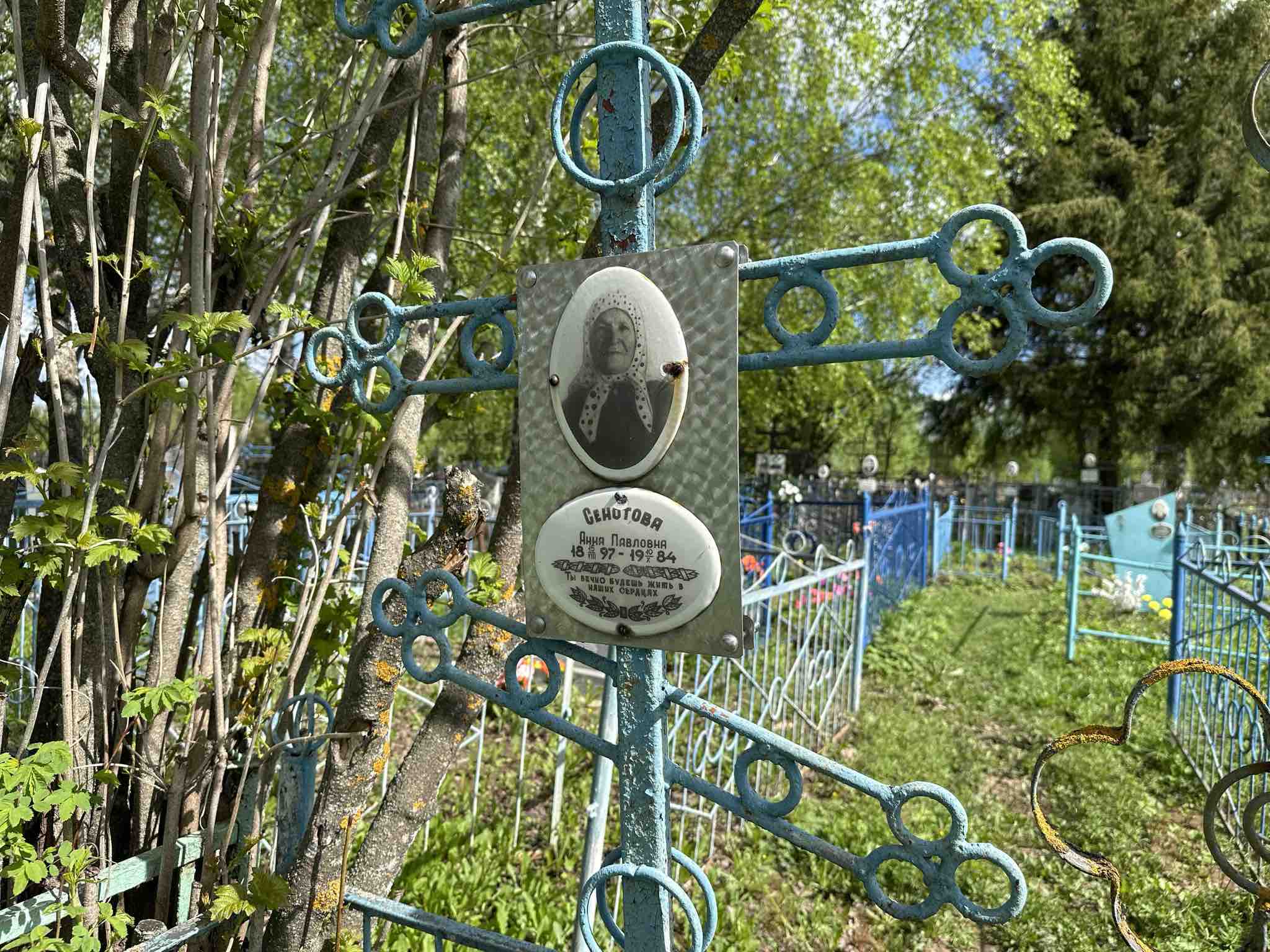 Сенотова Анна Павловна