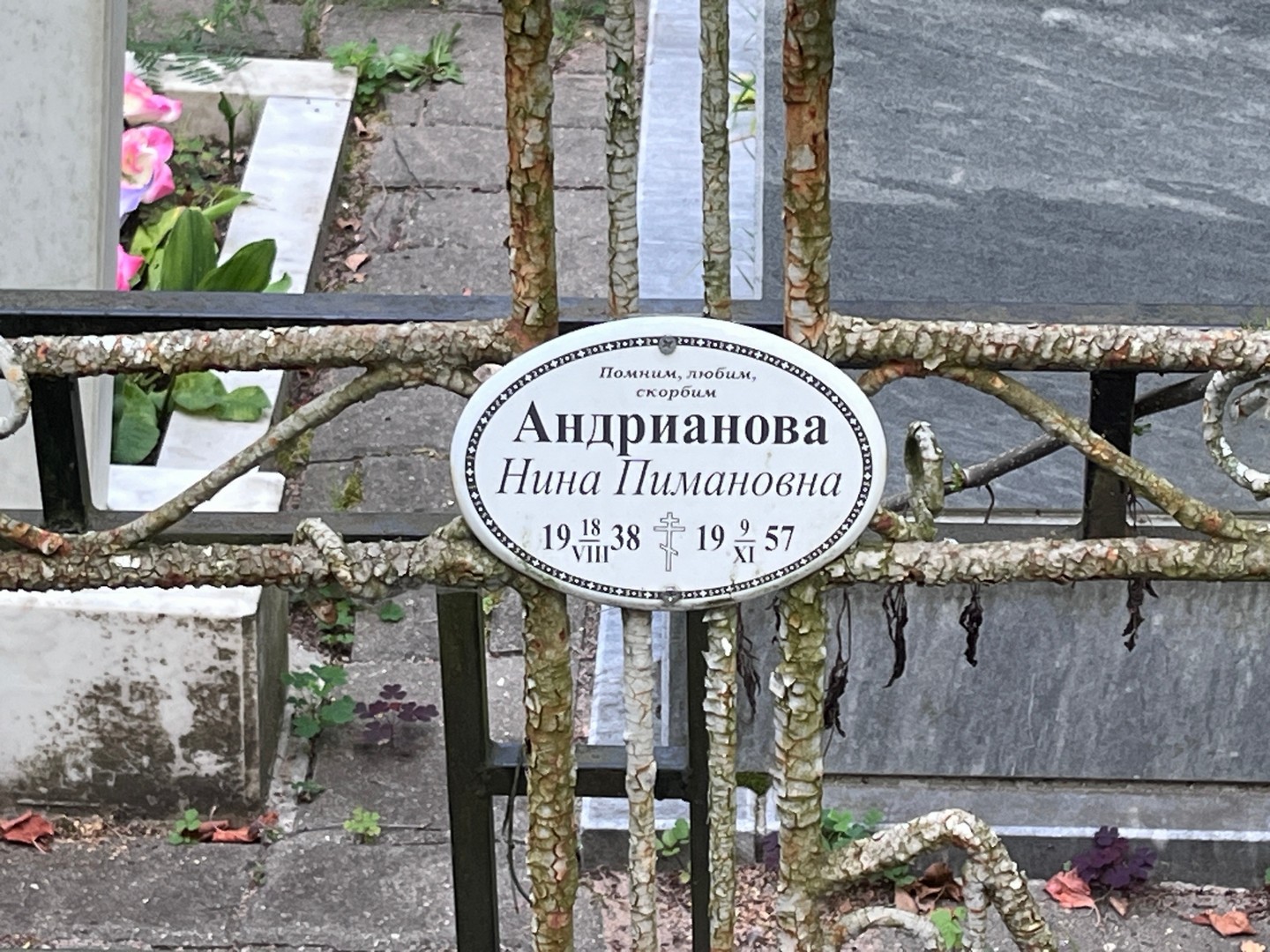 Андрианова