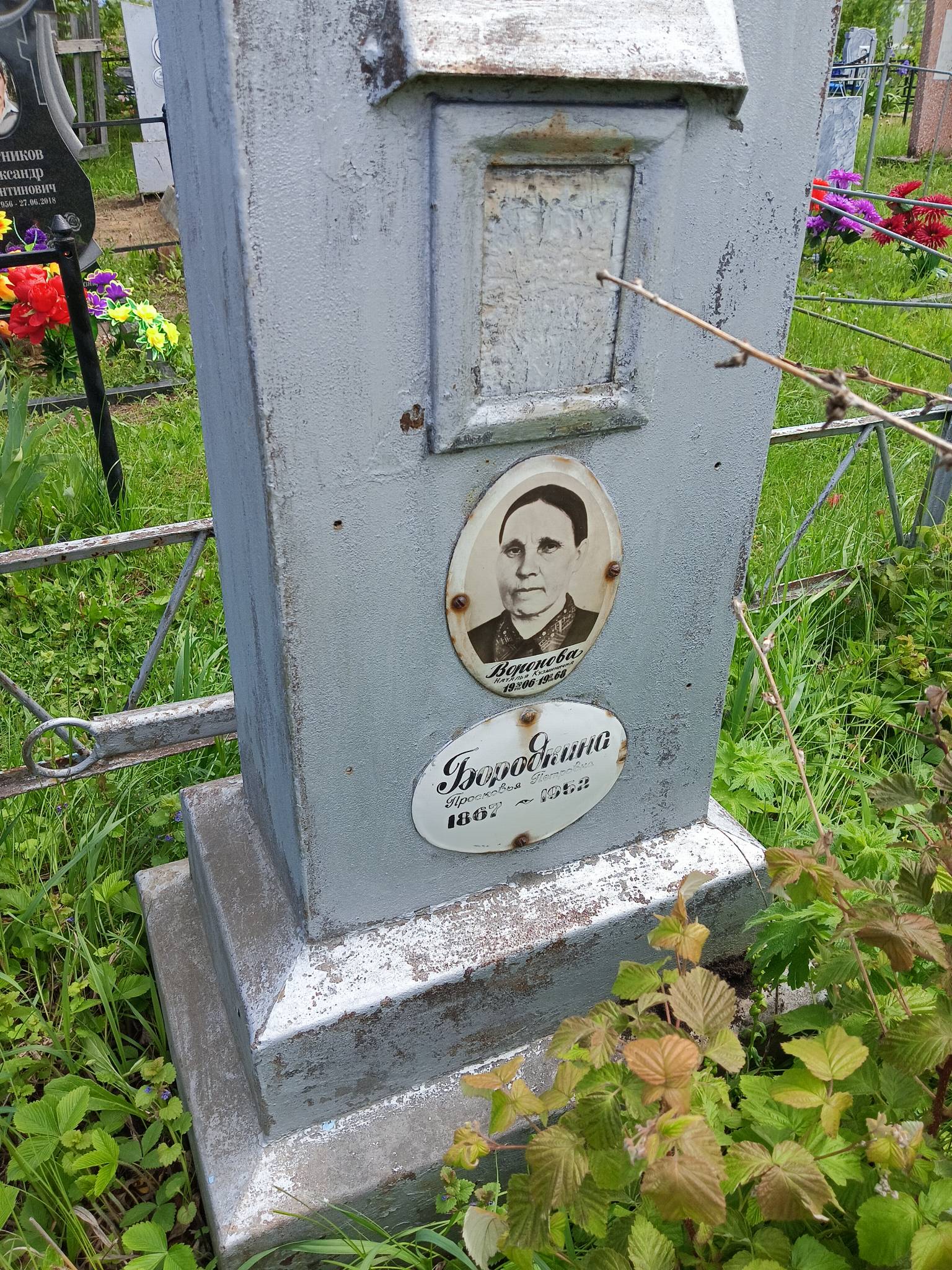 Воронова Наталья Кузьминична